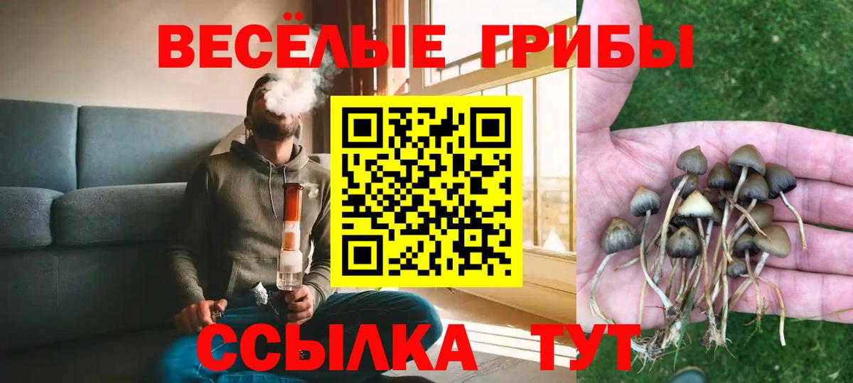 Галлюциногенные грибы Magic Shrooms  Вход с VPN  Оренбург 